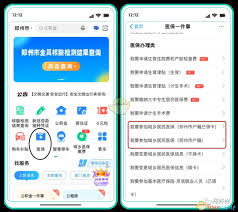 郑好办医保怎么交