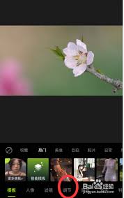 醒图如何实现镜像翻转