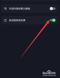 抖音如何设置自动旋转进全屏