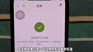 如何注销京东白条