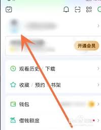 爱奇艺如何打开在线状态