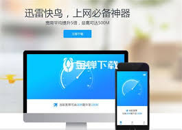 迅雷快鸟和迅雷的区别是什么