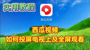 西瓜视频投屏方法