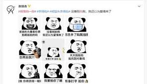 微信拍一拍表情包有哪些种类