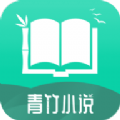 青竹小说正式版