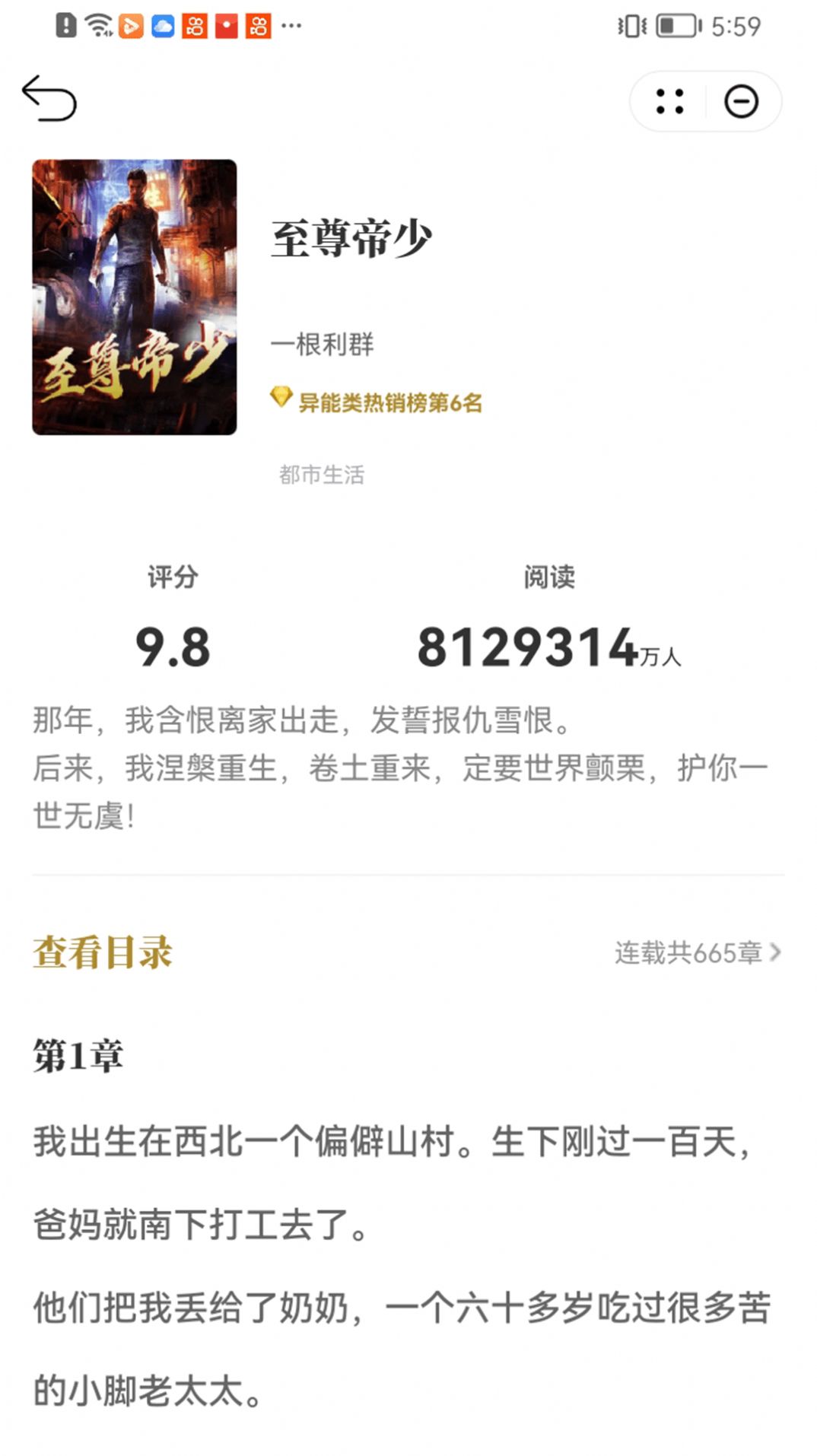 顽石小说苹果版