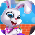 我的宠物小兔宝宝手机版