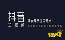 抖音密友功能包含哪些权限