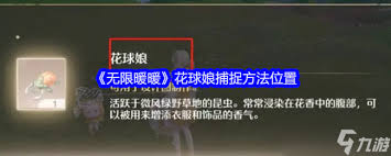 无限暖暖昆虫兑换攻略