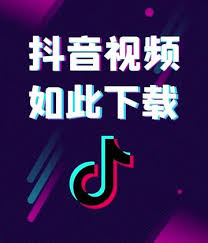 抖音精选下载视频问题