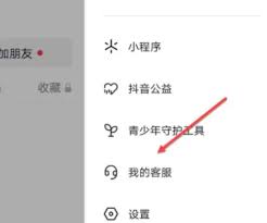抖音月付额度无法使用怎么办