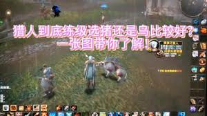 魔兽世界巫妖王之怒猎人宝宝选择攻略