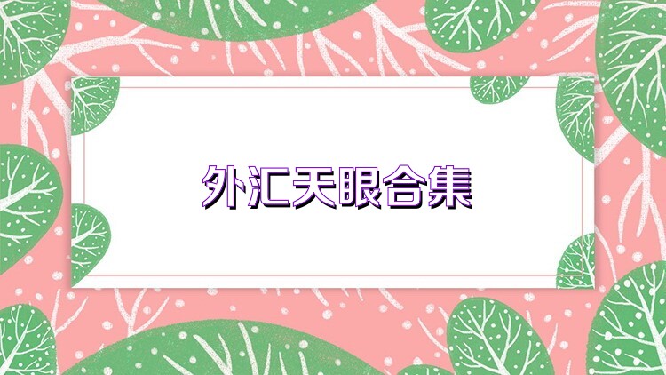 外汇天眼合集