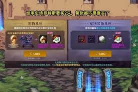 DNF手游宠物伊尔本表现如何