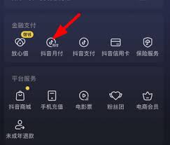 抖音月付上信用报告吗