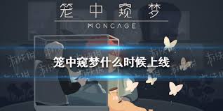 笼中窥梦steam与手机版差异对比