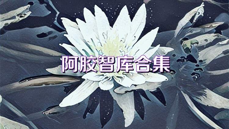 阿胶智库合集