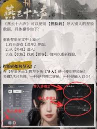 燕云十六声捏脸数据如何使用