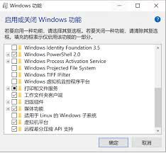 Windows10家庭版能否运行虚拟机