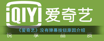 ipad爱奇艺弹幕开关在哪里找