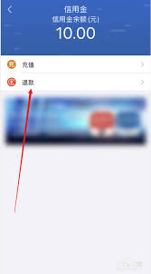 我的长沙app如何申请退款