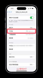 查询苹果IP地址在哪里