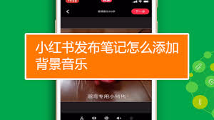 小红书笔记如何添加音乐