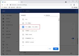 Google浏览器设置中文