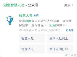 湖南智慧人社平台如何查询养老金发放