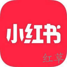 小红书如何关闭弹幕功能