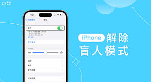 苹果旁白功能详解