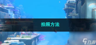 潜水员戴夫如何拍照技巧