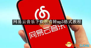 手机网易云如何下载MP3格式音乐