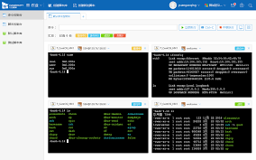 Python网络自动化运维工具选型指南