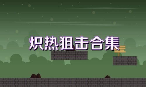 炽热狙击合集