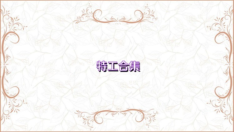 特工合集