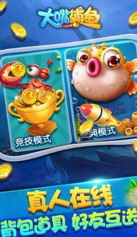 鱼有趣在哪里