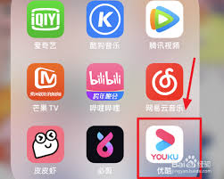 优酷下载的视频怎样保存到手机