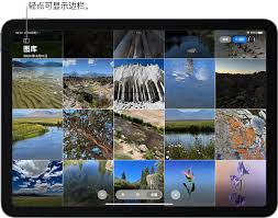 iPad连拍照片如何查看