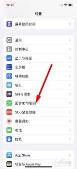 苹果手机如何取消面容识别