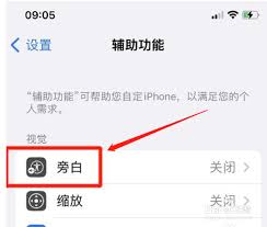 苹果手机取消旁白的方法