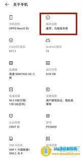 oppo手机如何打开开发者选项
