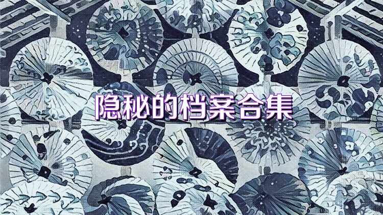 隐秘的档案合集