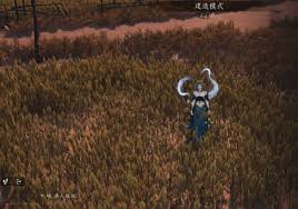 燕云十六声福舟寄彩宵任务如何卡bug