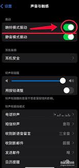 苹果手机如何同时设置铃声和震动