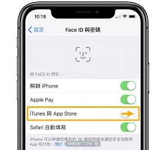 iPhone下载软件如何使用面容