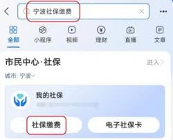 支付宝2025年城乡居民医保缴费如何查询