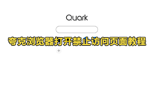 夸克浏览器如何解除网页禁止访问