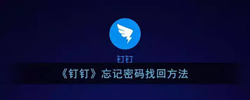 钉钉忘记密码怎么找回