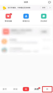 小红书购物订单在哪里查看